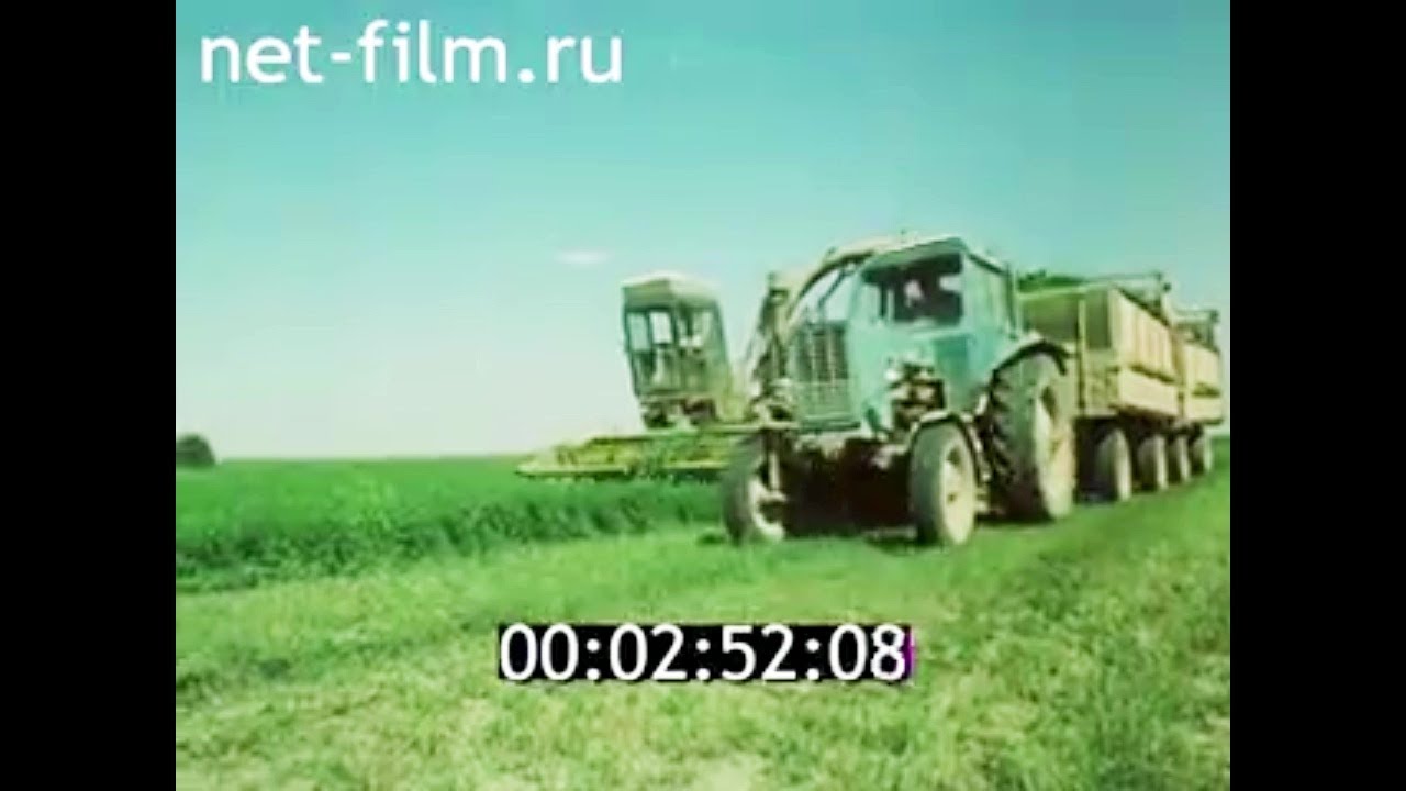1987г. колхоз Путь к коммунизму. село Иркаглы Степновский район Ставропольский край.