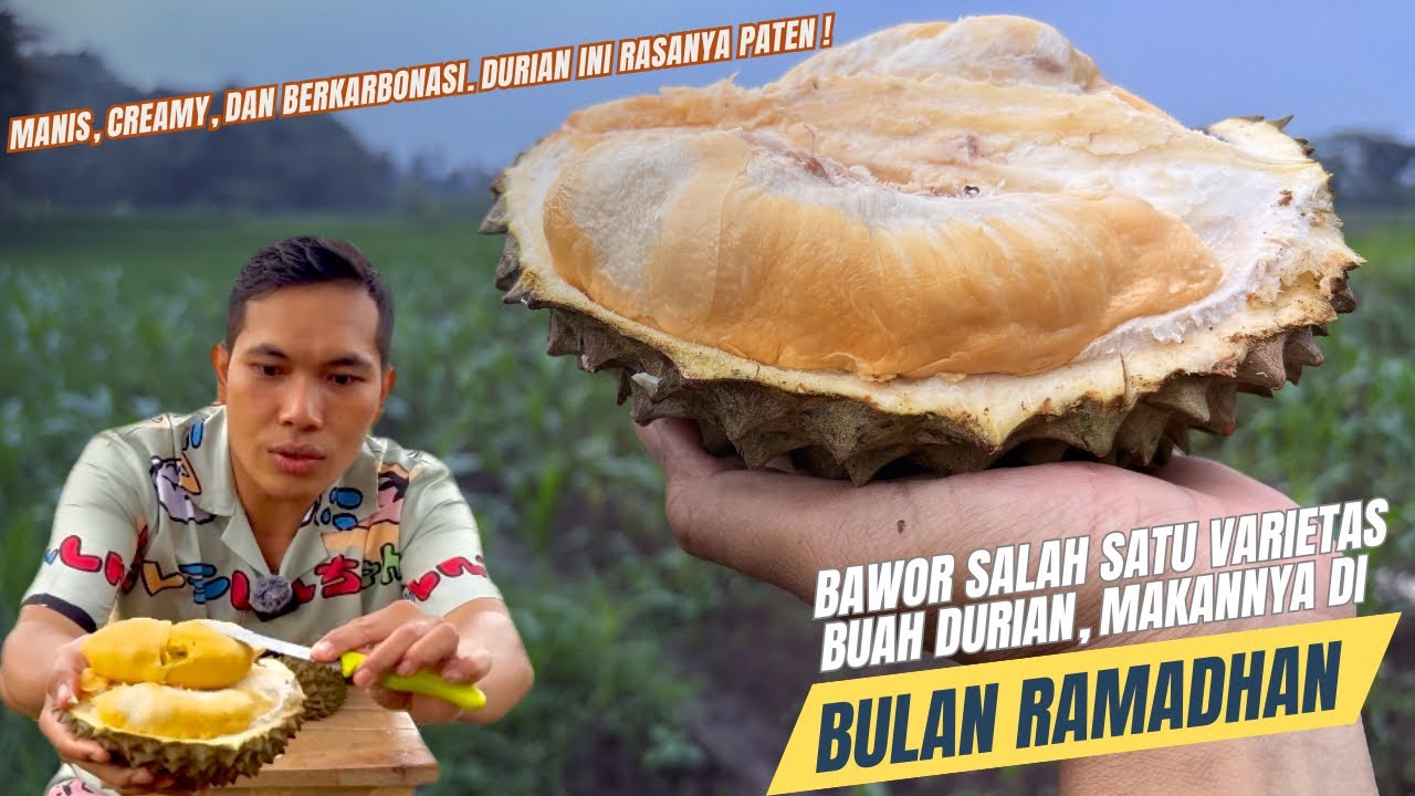 NAMANYA BAWOR | SALAH SATU VARIETAS DURIAN ASLI BANYUMAS