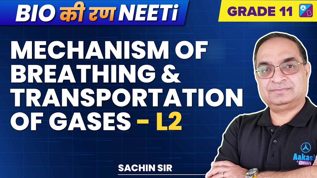 Breathing & Exchange of Gases Class 11 Biology -  Mechanism of Breathing | NEET 2023 | Sachin Sir