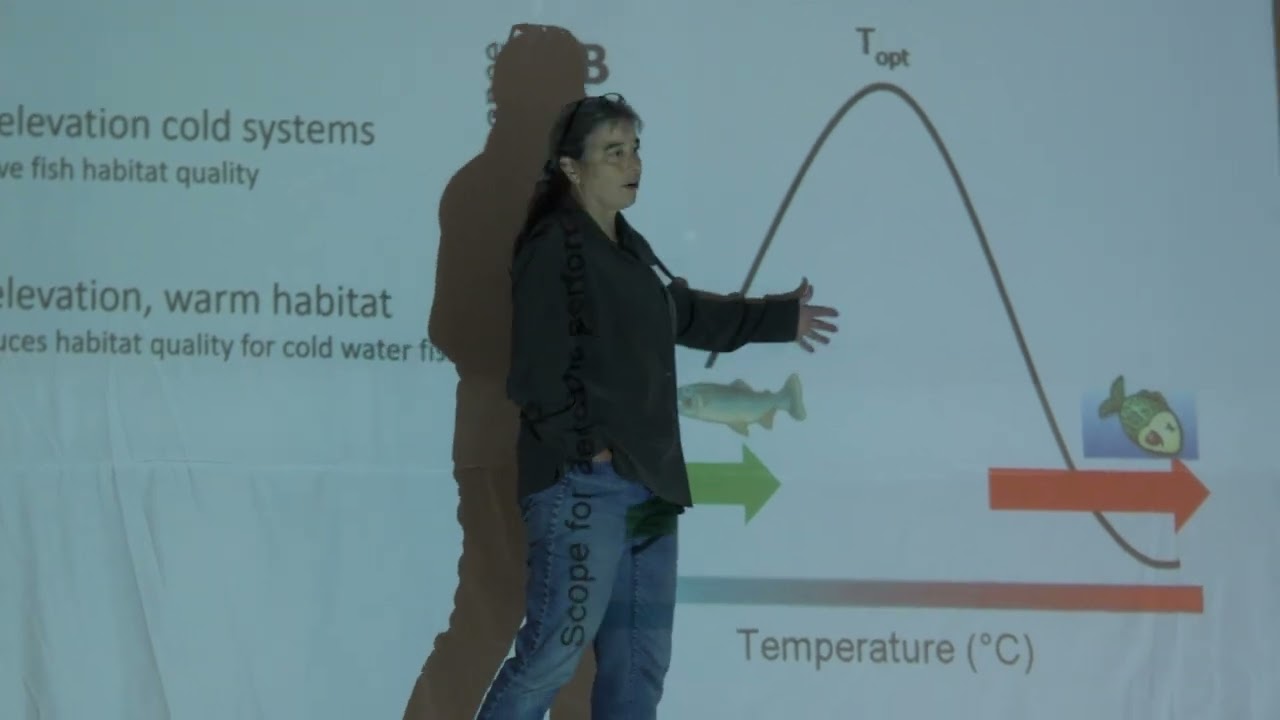 Fire effects on aquatic systems by Lisa Eby