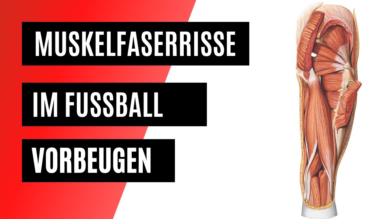 Muskelfaserrisse vorbeugen | Fussball Verletzungen vorbeugen