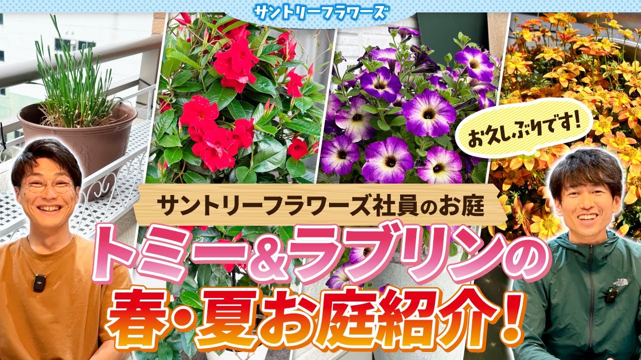 【社員のお庭紹介】春夏のお庭の様子＆秋の商品紹介も！