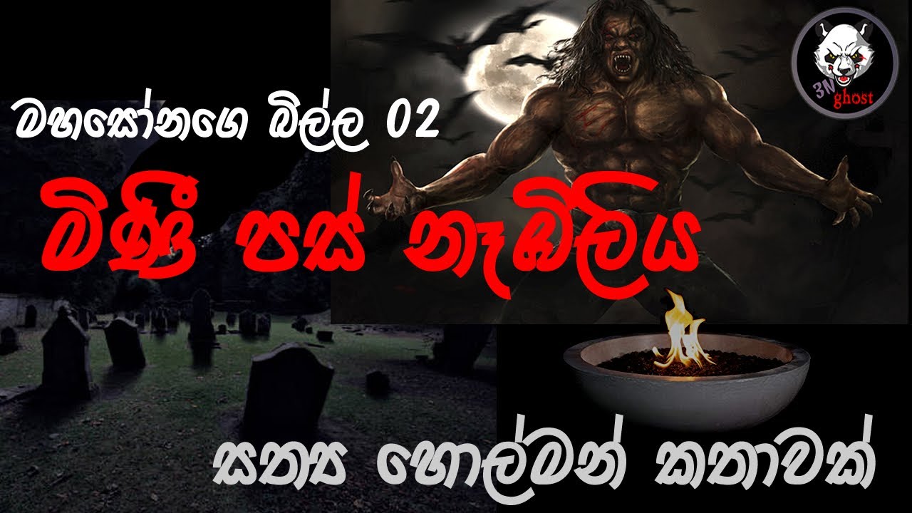 මිණී පස් නෑඹිලිය | Holman katha |  @3N Ghost   | Sinhala holman katha | ghost story 244