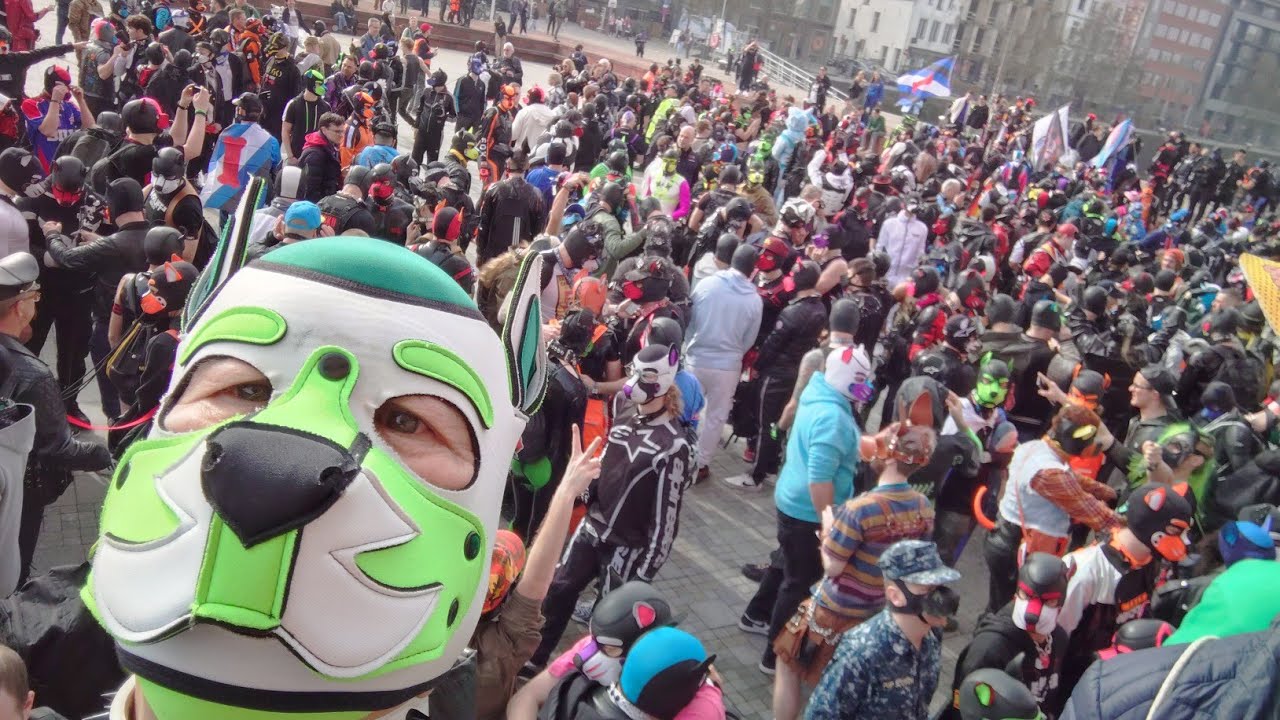 Antwerp Puppy Walk 2026