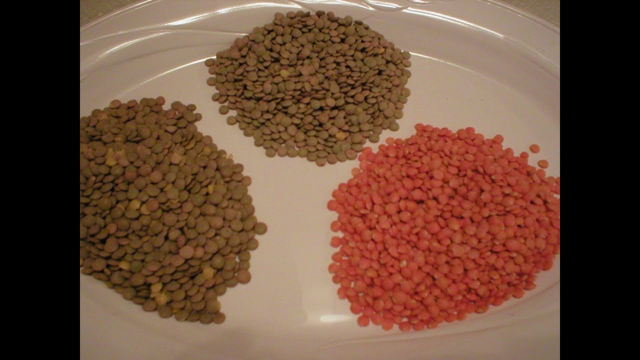 Lentils 101 - About and Types of Lentils