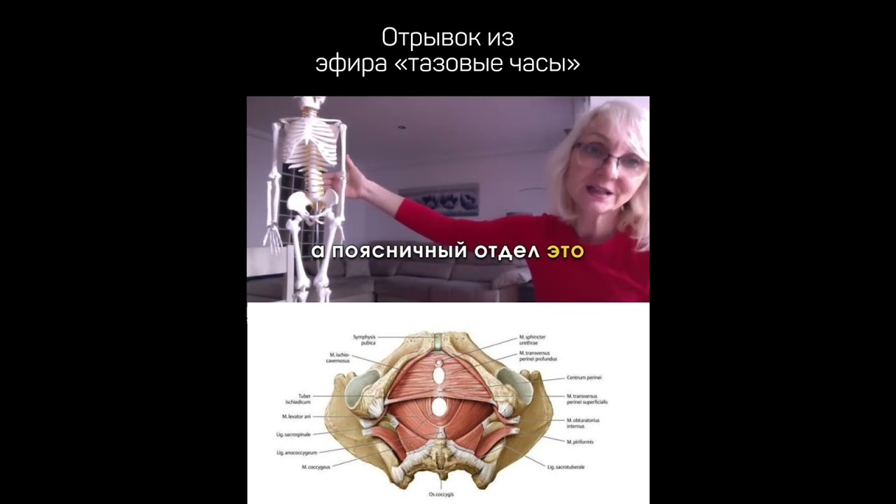 Тазовые часы