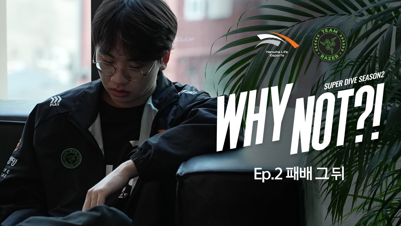 WHY NOT?! ep.2 | 패배 그 뒤 [HLExRAZER]