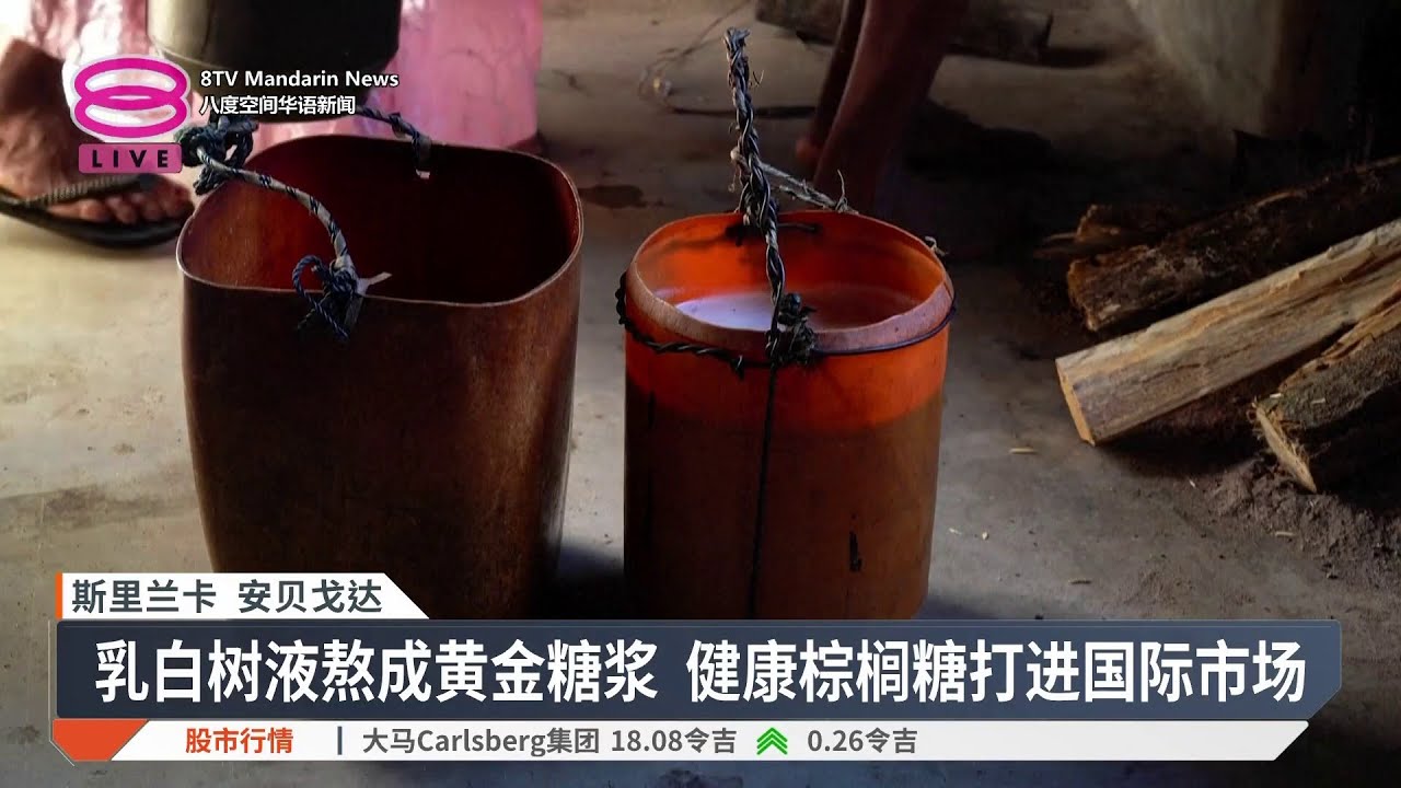 千年糖棕技艺列文化遗产 棕榈糖撑起斯里兰卡乡村经济【2026.02.10 八度空间华语新闻】