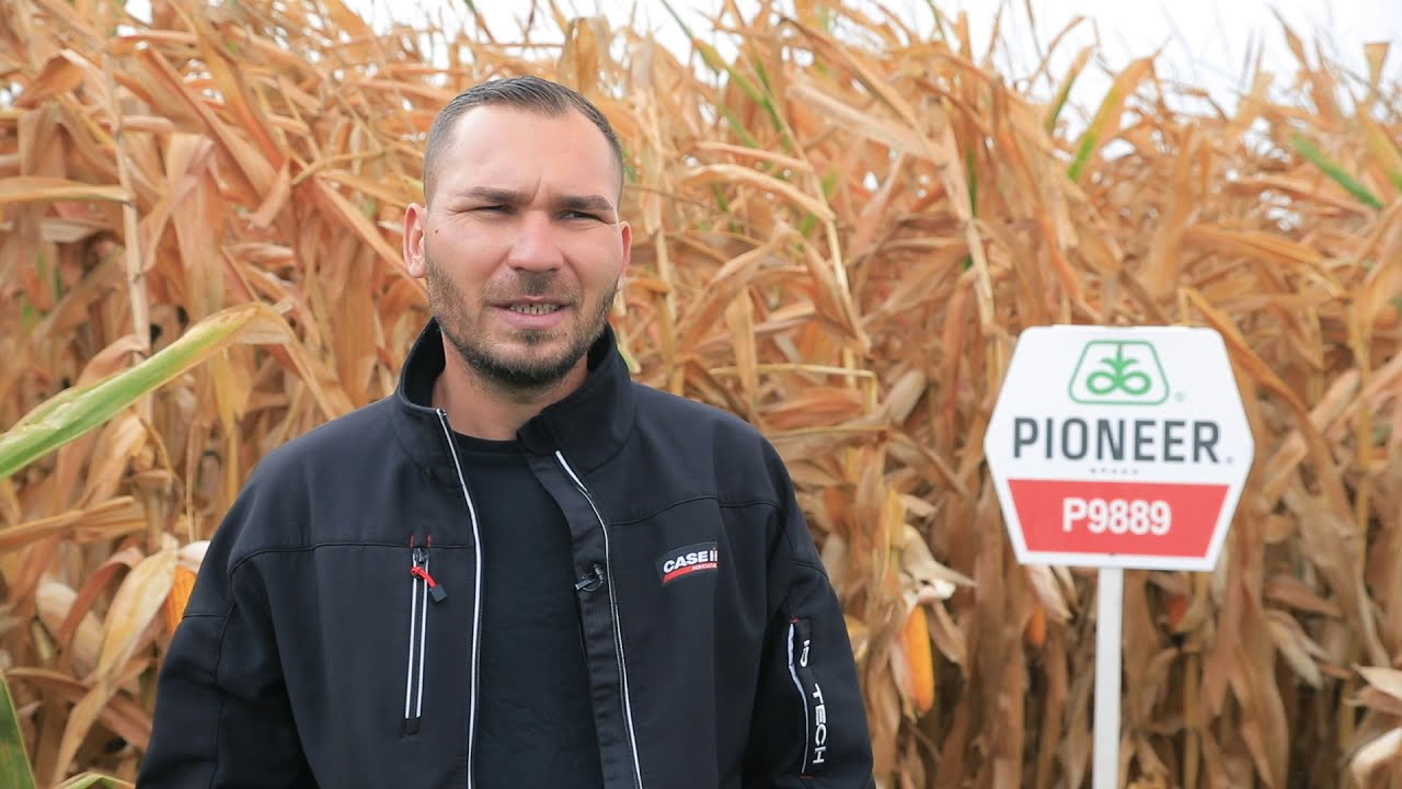Testimonial despre hibrizii de porumb Pioneer® - Feer Patriciu, jud. Bihor
