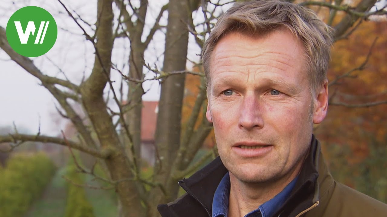 B&auml;ume pflanzen - Wann ist die beste Jahreszeit?