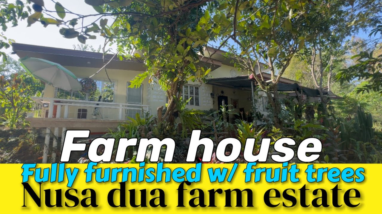 V405-24 • Fully Furnished House and Lot in Nusa Dua Farm Estate, Tanza, Cavite