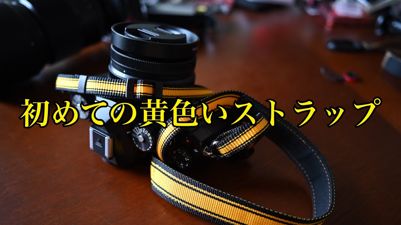 Nikonの黄色いストラップを懐かしみつつZ5IIとZfの使い道を考える