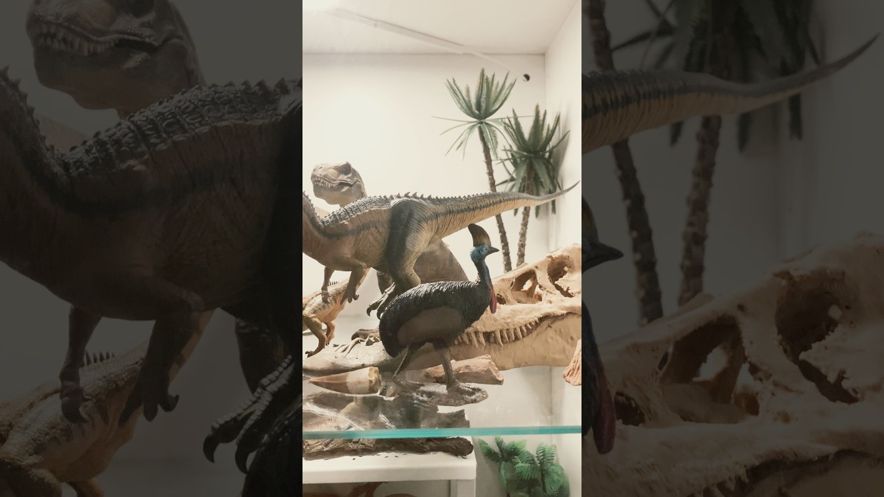 Wunderkammer Dinosauria #dinorec #dinosauri #dinosaurs #dinosaurus #wunderkammer #dinotoys #fossils