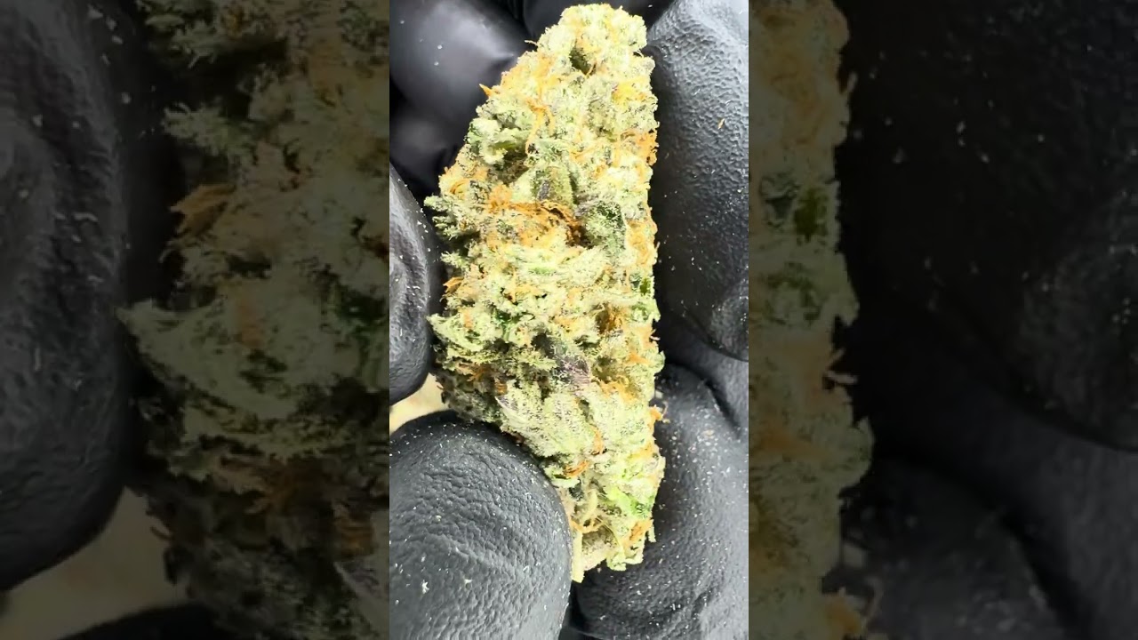 Flap Jacks AAAA Exotic Living Organic Soil Grown THCA Hemp Flower