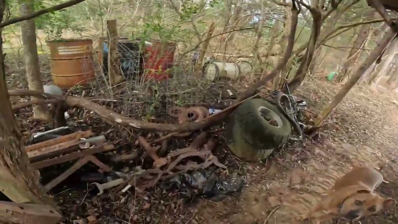 Cleaning up the Yard