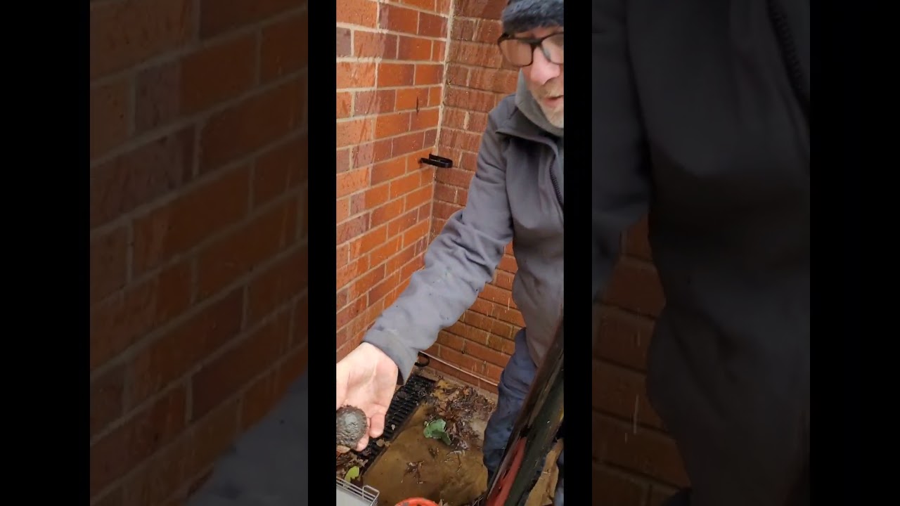 CHECK OUT THESE BLOCKED GUTTERS & DOWNPIPES.