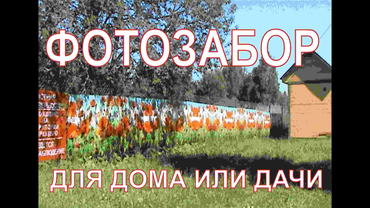Декорирование забора сетки рабицы. Фотозабор для дома или дачи