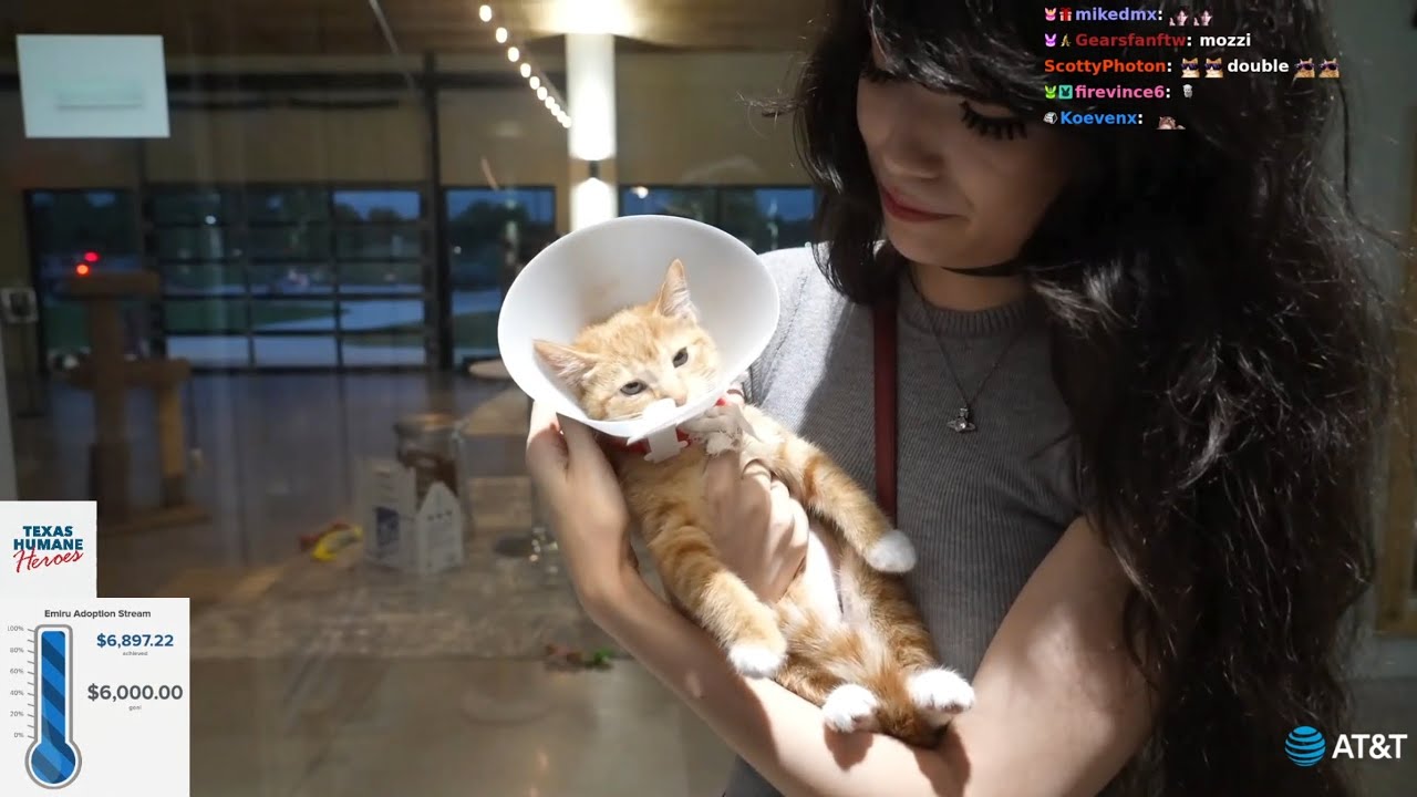 Emiru - [April 23rd 2025] Animal Shelter with Cinna and Bonnie