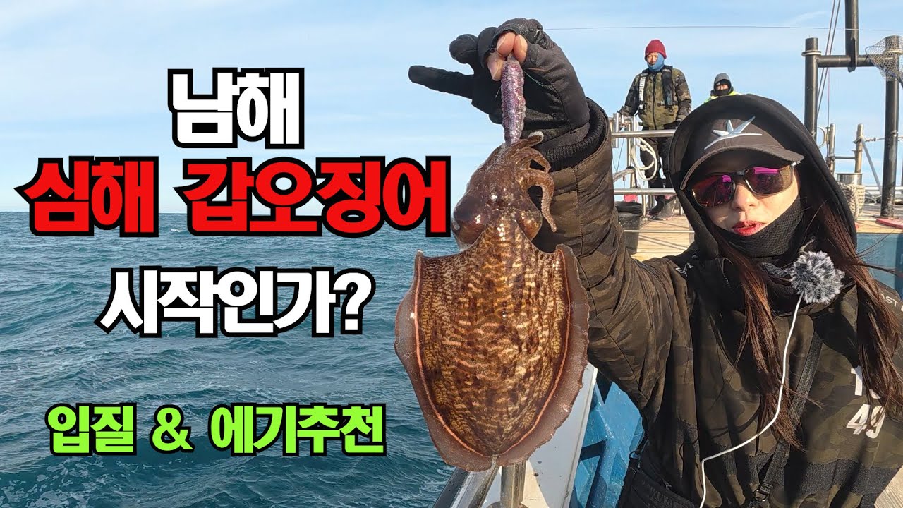 여수 심해 갑오징어낚시 사이즈 대박  초보자의 갑오징어 잡는방법과 에기 추천해드려요 (뉴스타피싱 하랑호)