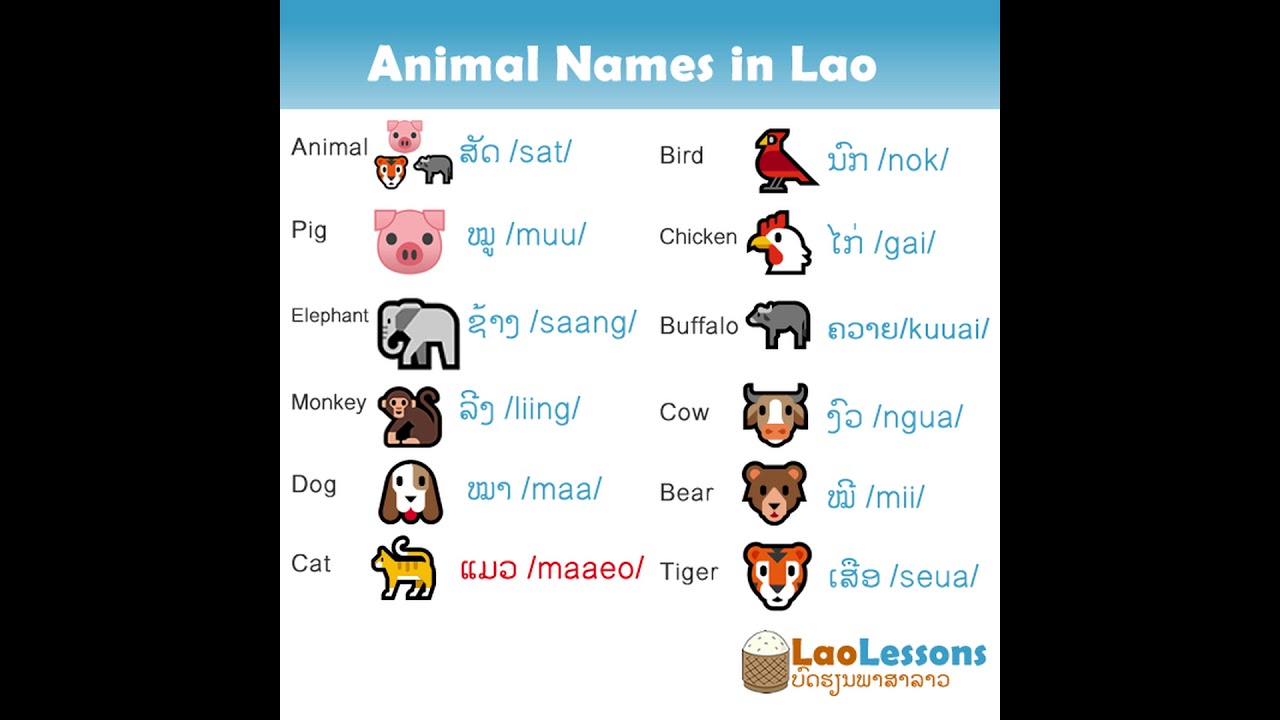 Learn Lao Animal Names