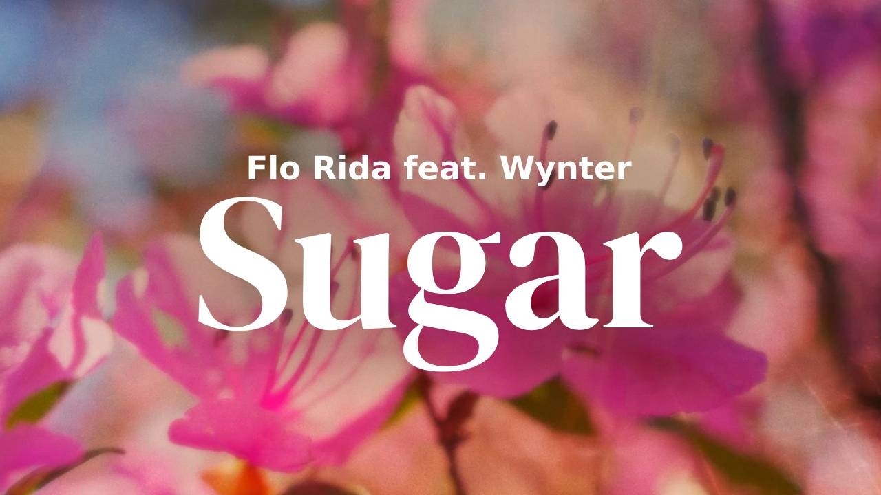 Flo Rida feat. Wynter - Sugar | Lyrics