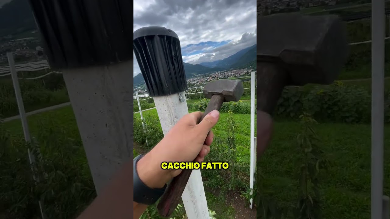 Non vola pi&ugrave; ☺️☺️☺️ #agricoltura