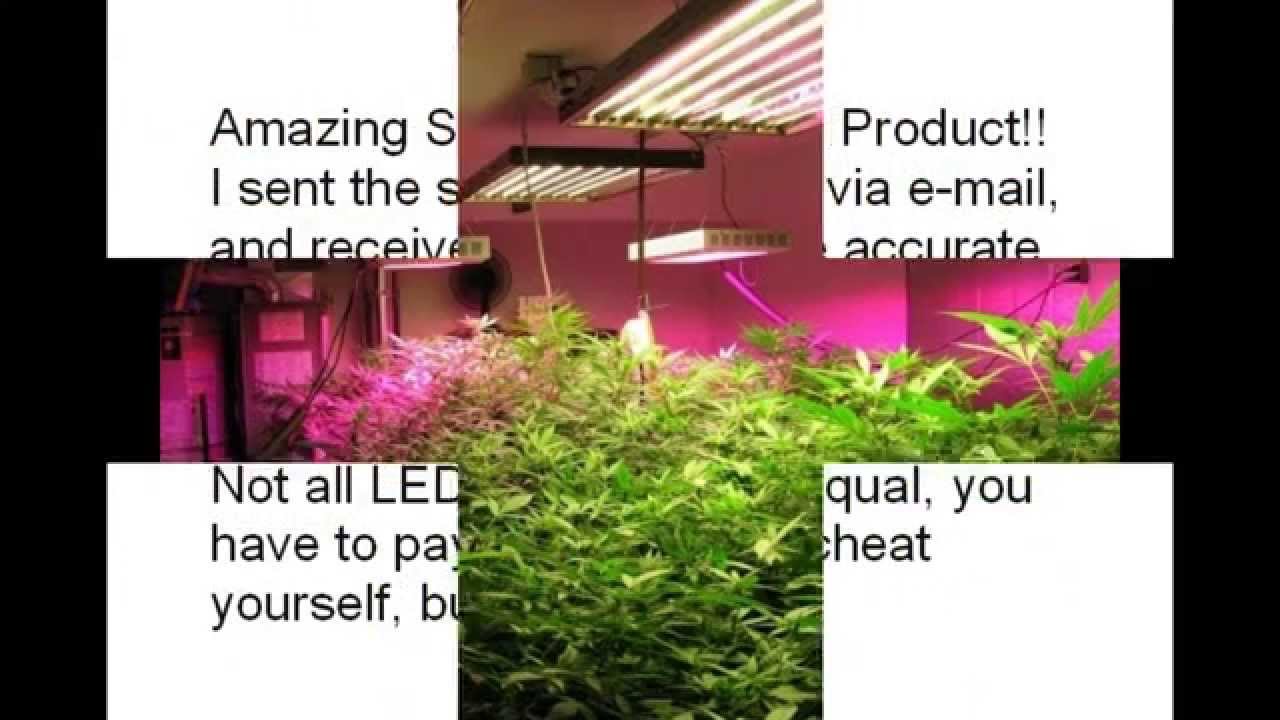 Advanced Platinum Series P600 600w 12 band LED Grow Light   DUAL VEGFLOWER SPECTRUM