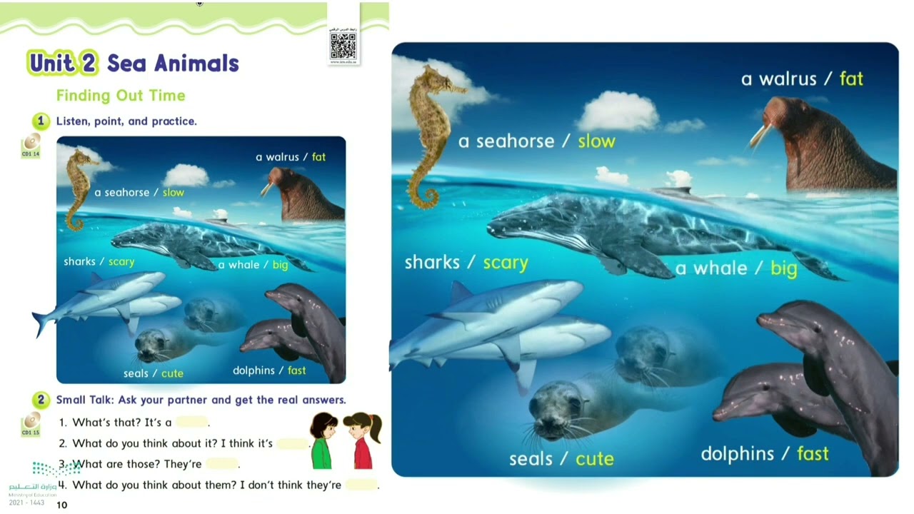 We Can 3 Unit 2 Sea Animals - Lesson 1