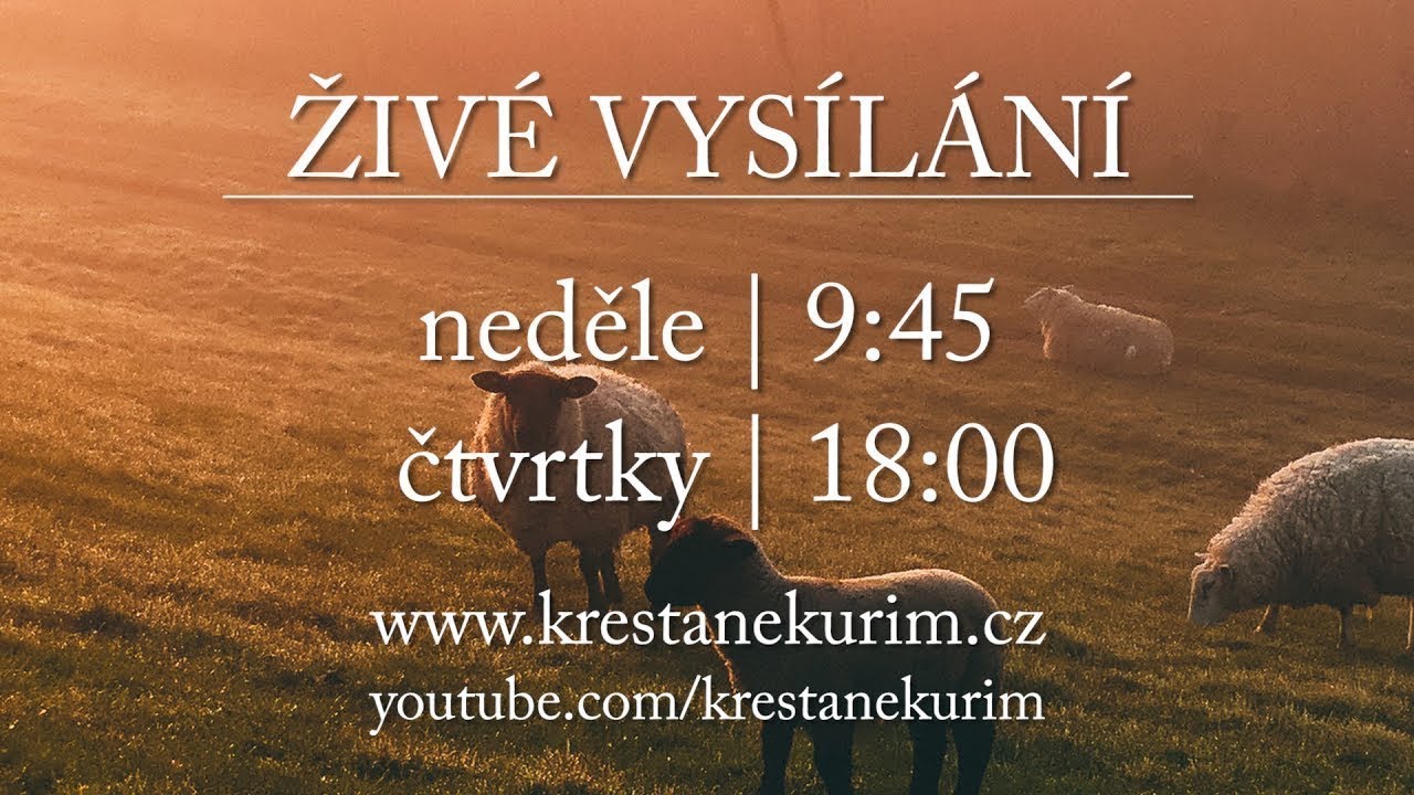 Bohoslužba - 15.2.2026 | Živé vysílání
