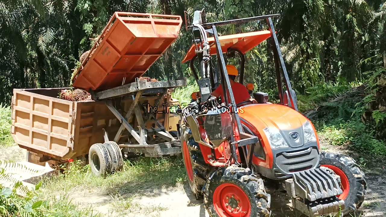 The Tractors 100 - Kioti DK4510 feat Graber Fassi dan Trailler - Mekanisasi Perkebunan Kelapa Sawit