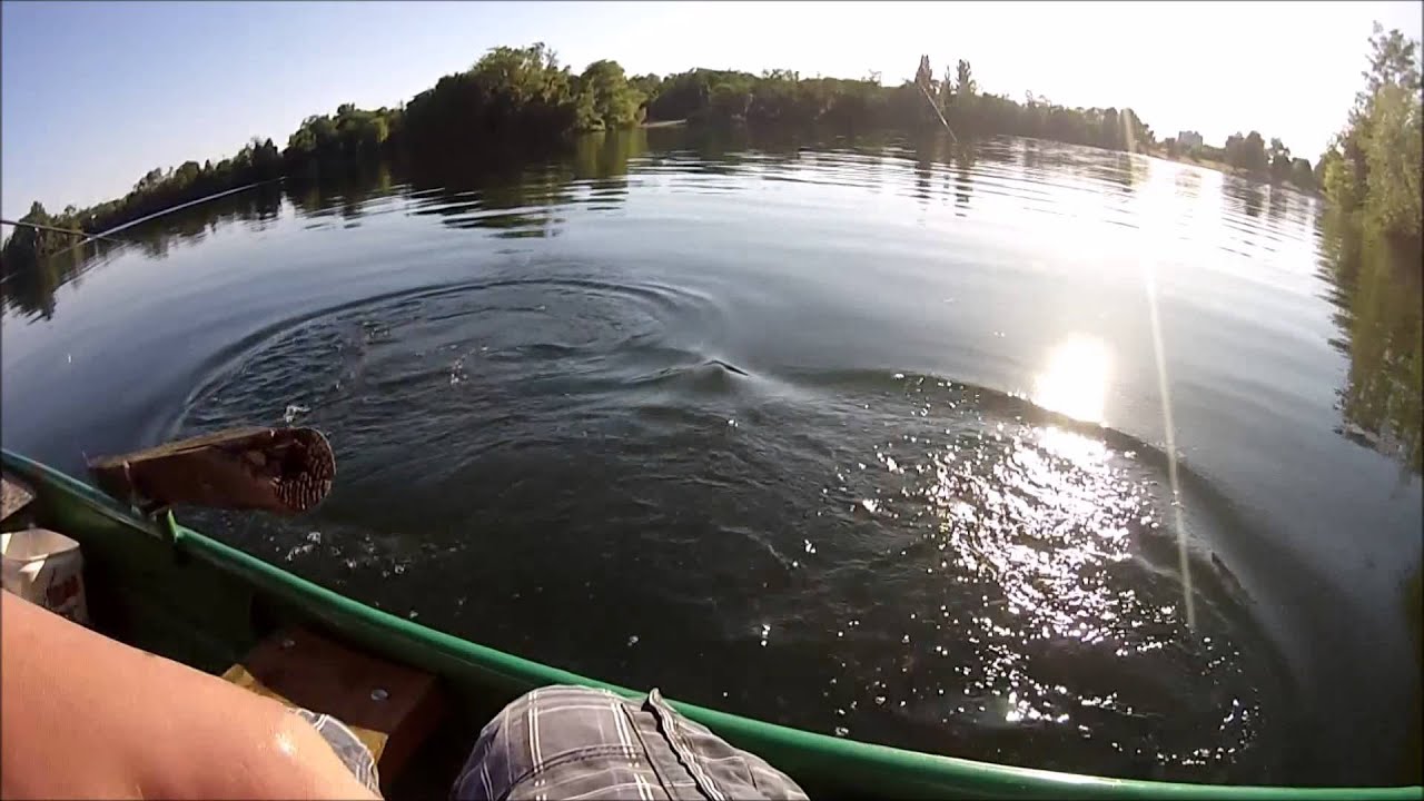 Angeln an der Blies Juli 2015