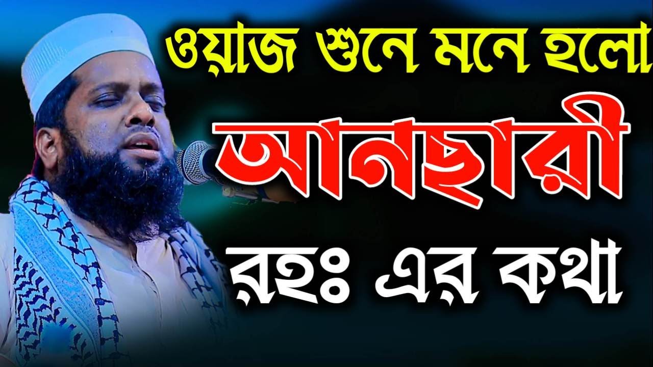 আনছারী হুজুরের কথা মনে পড়ে গেলো ওয়াজটি শুনে | মাওলানা জাফর আহমদ হেলালি Ansari waz