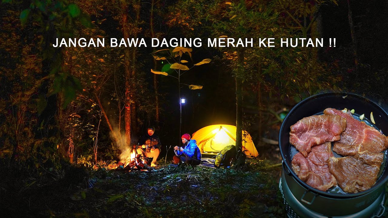 Nekat Bawa Daging Merah Ke Tengah Hutan, Lihat Apa Yang Terjadi??