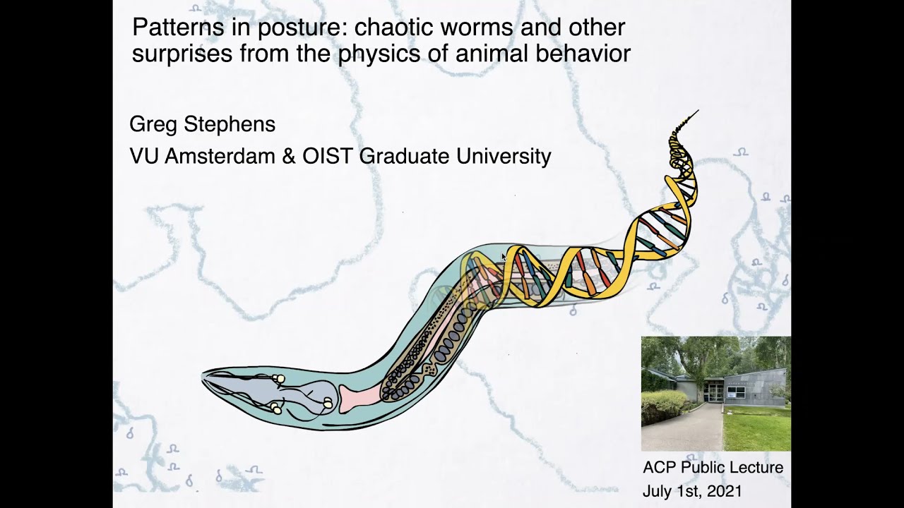 Patterns in Posture: Chaotic Worms, Surprises from the Physics of Animal Behavior