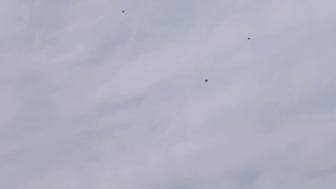 So many kites flying
