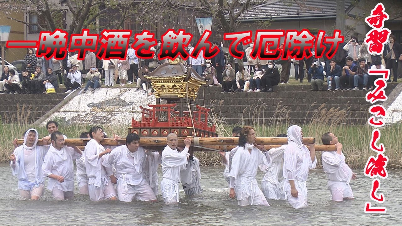 250年の歴史　奇習「みこし流し」４年ぶりに開催　川に入り豊漁願う
