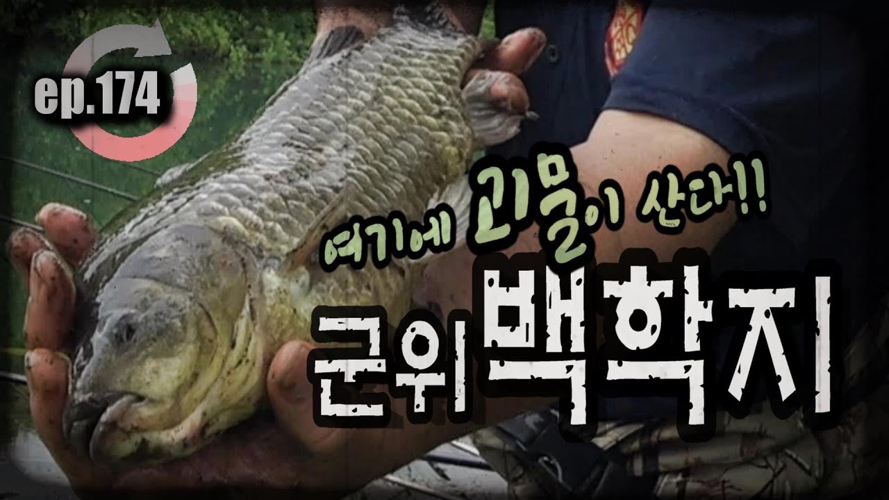 [ep.174] 여기에 괴물이 산다!! 군위 백학지 최상류권의 봄!! #붕어낚시 #산란붕어 #산란철 #한방터 #백학지 #백학저수지