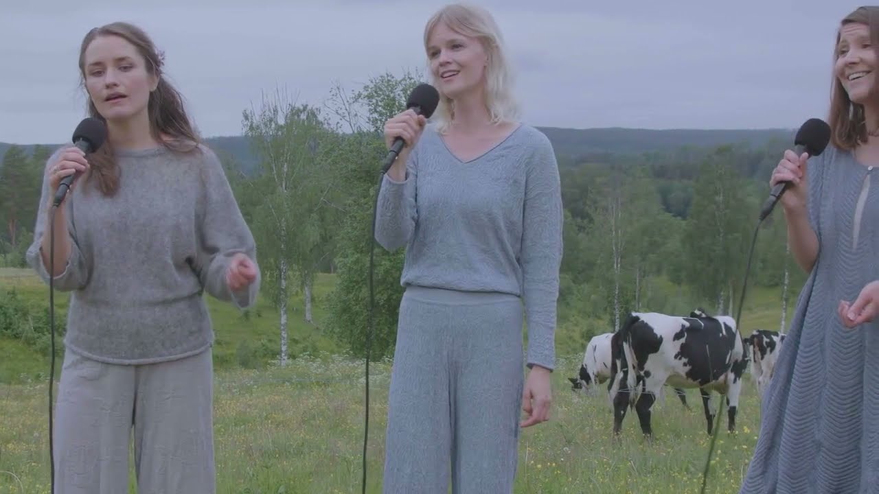 Kraja sings 