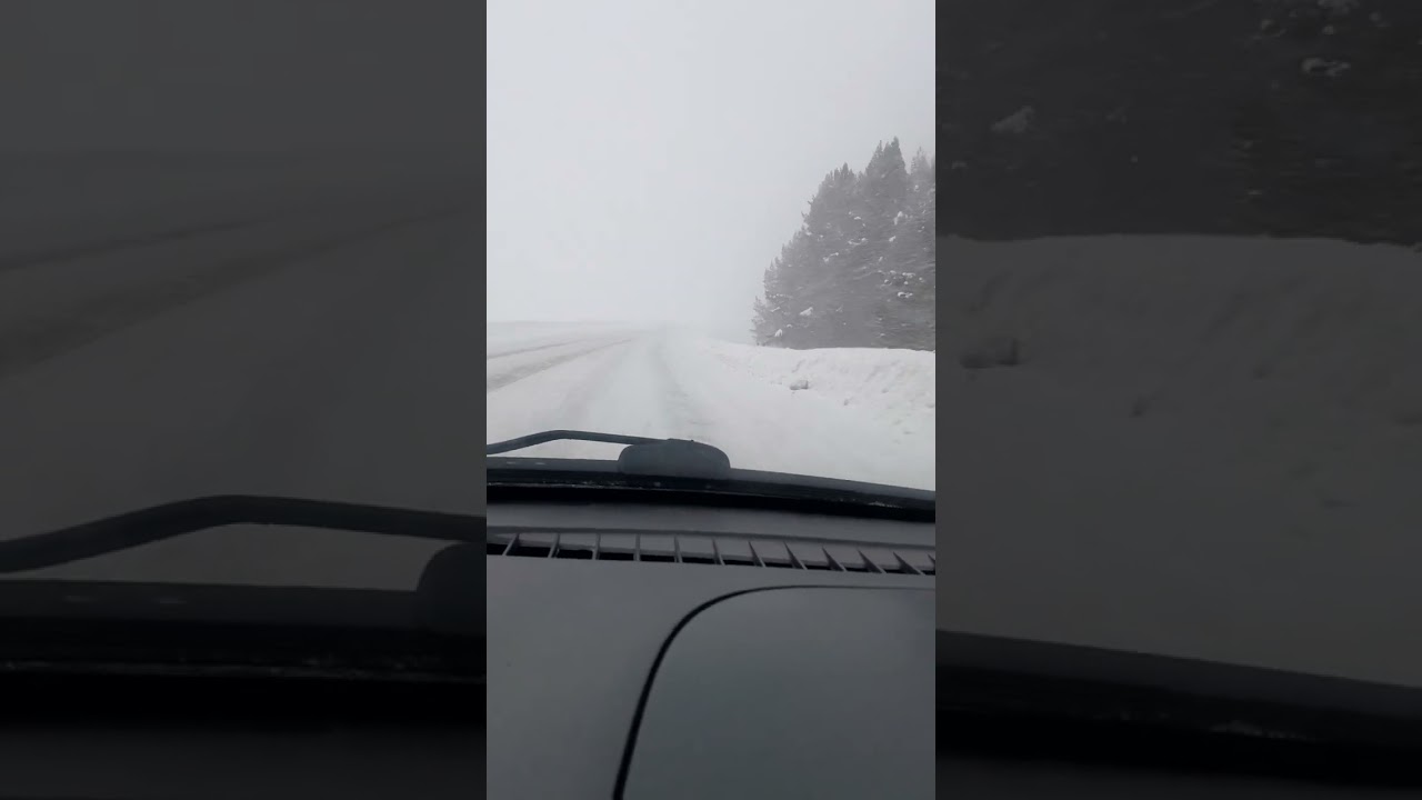 9 марта 2026 г.