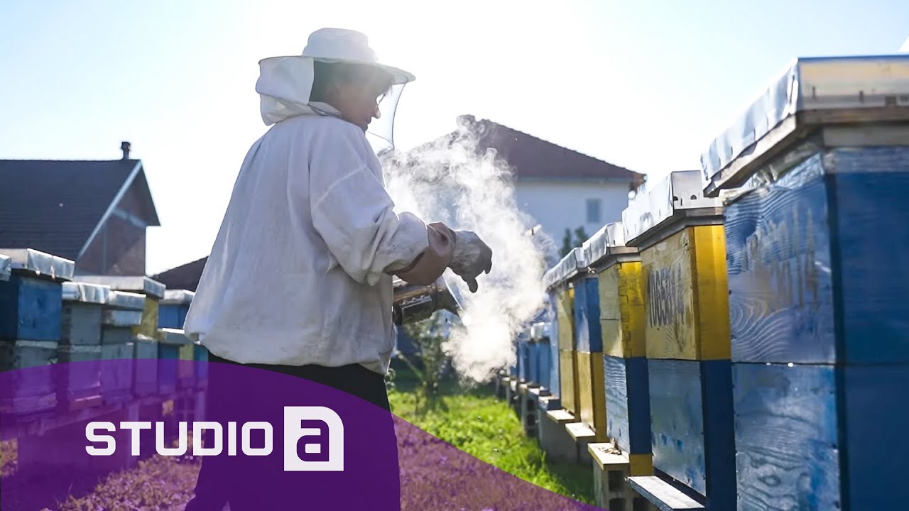 Nëna e vetme i shkolloi fëmijët nga të ardhurat që fitonte me bletari