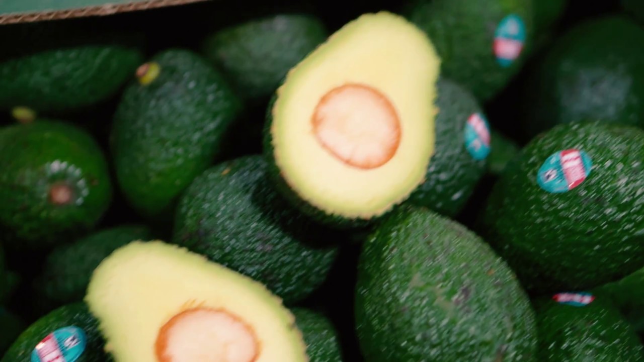Equal Exchange Peruvian Avocados - Produce Insider // 5.23.18