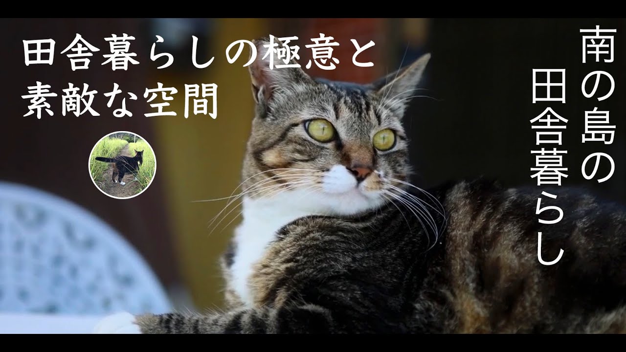 田舎暮らしの極意と素敵な空間