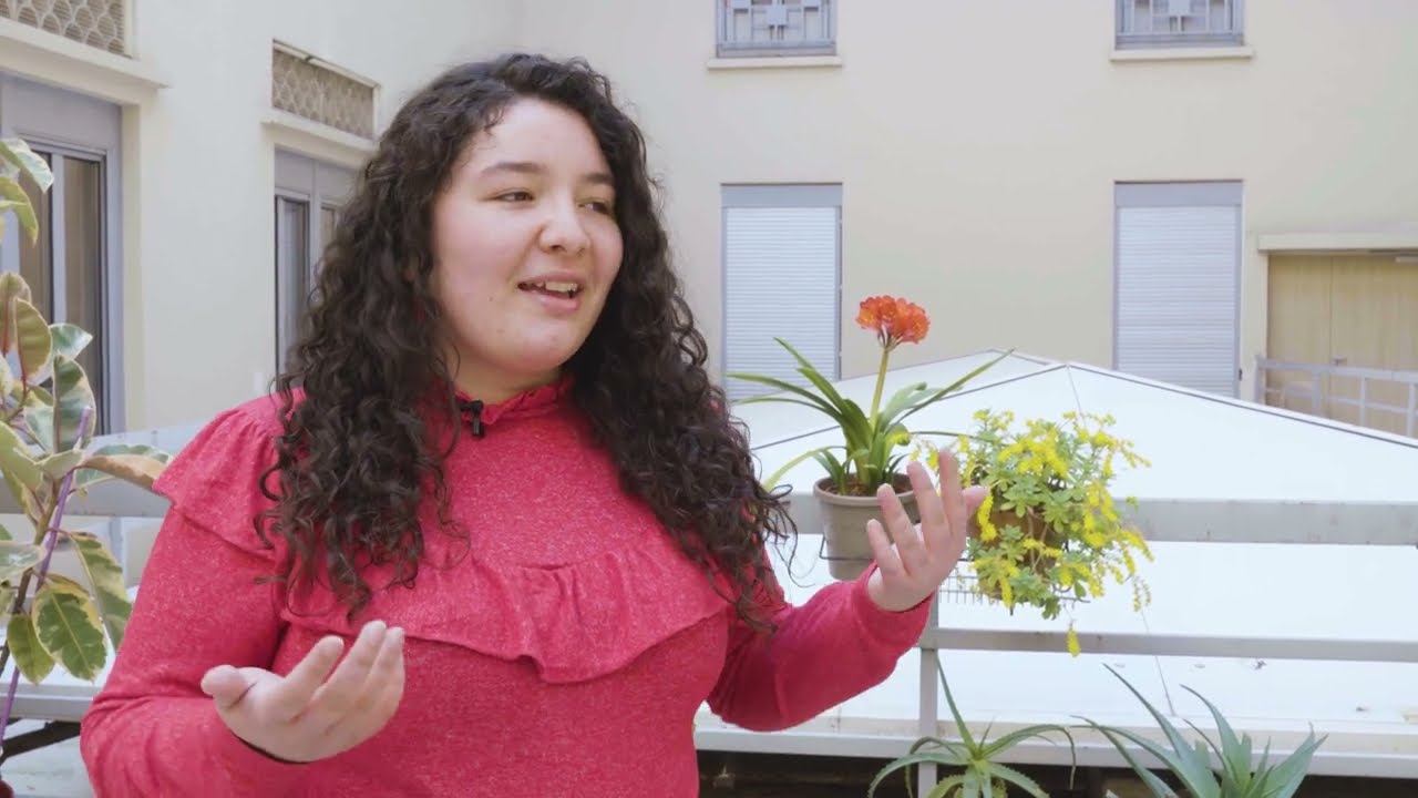 European Integration and Global Studies | CIFE Master | Student Testimonial | Anaïs Alfonso Henao