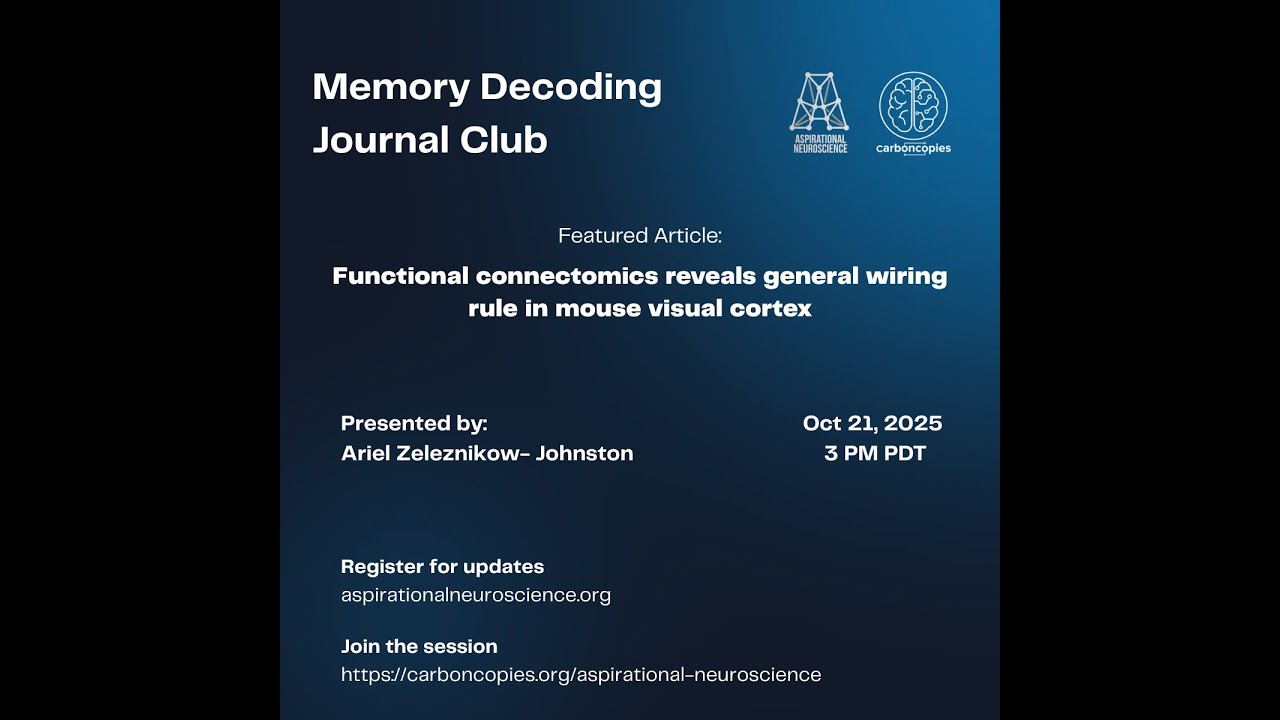 MDJC17 Functional connectomics reveals general wiring rule in mouse visual cortex (Ding et al, 2025)