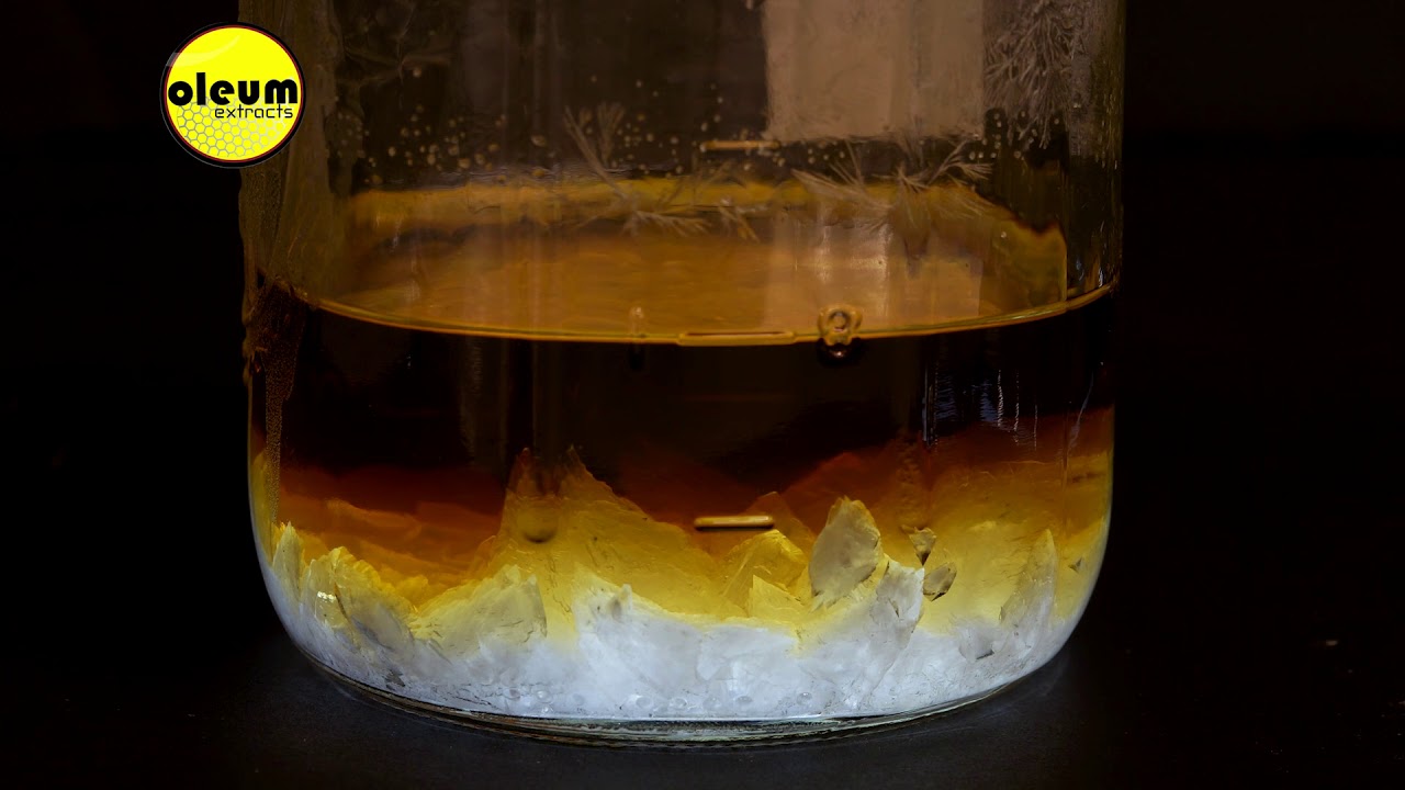 THCA Crystalline Wizard Stone Timelapse