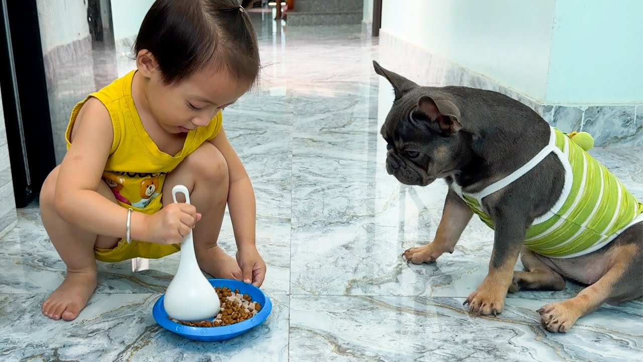 Baby Diem feeds my dog ​​when I forget to do so | Funny Dog Video