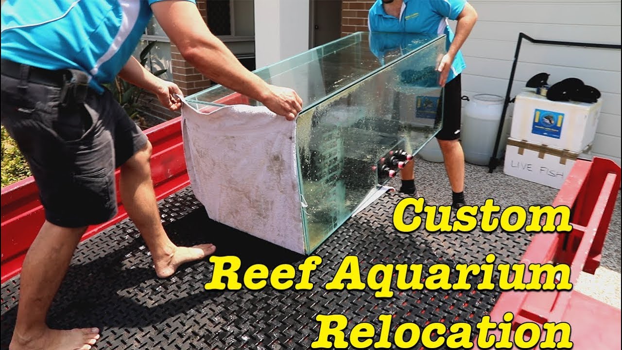Custom Reef Aquarium Relocation --- Gallery Aquatica TV