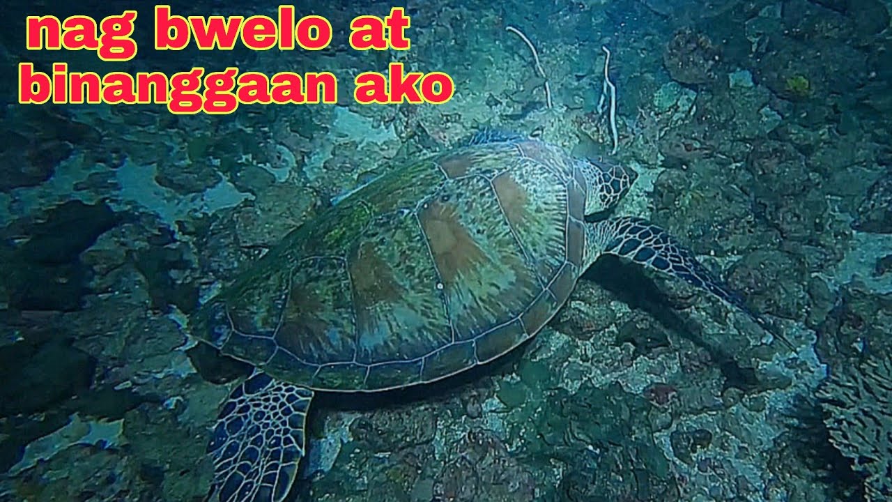 ep641 malaking pawekan nag bwelo at binanggaan ako