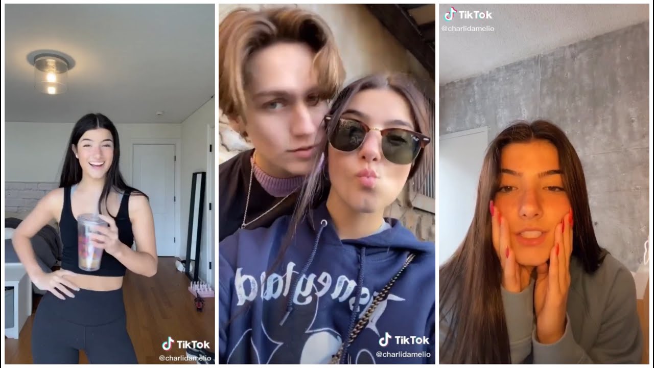 Charli D'amelio TikTok Compilation (February 2020)