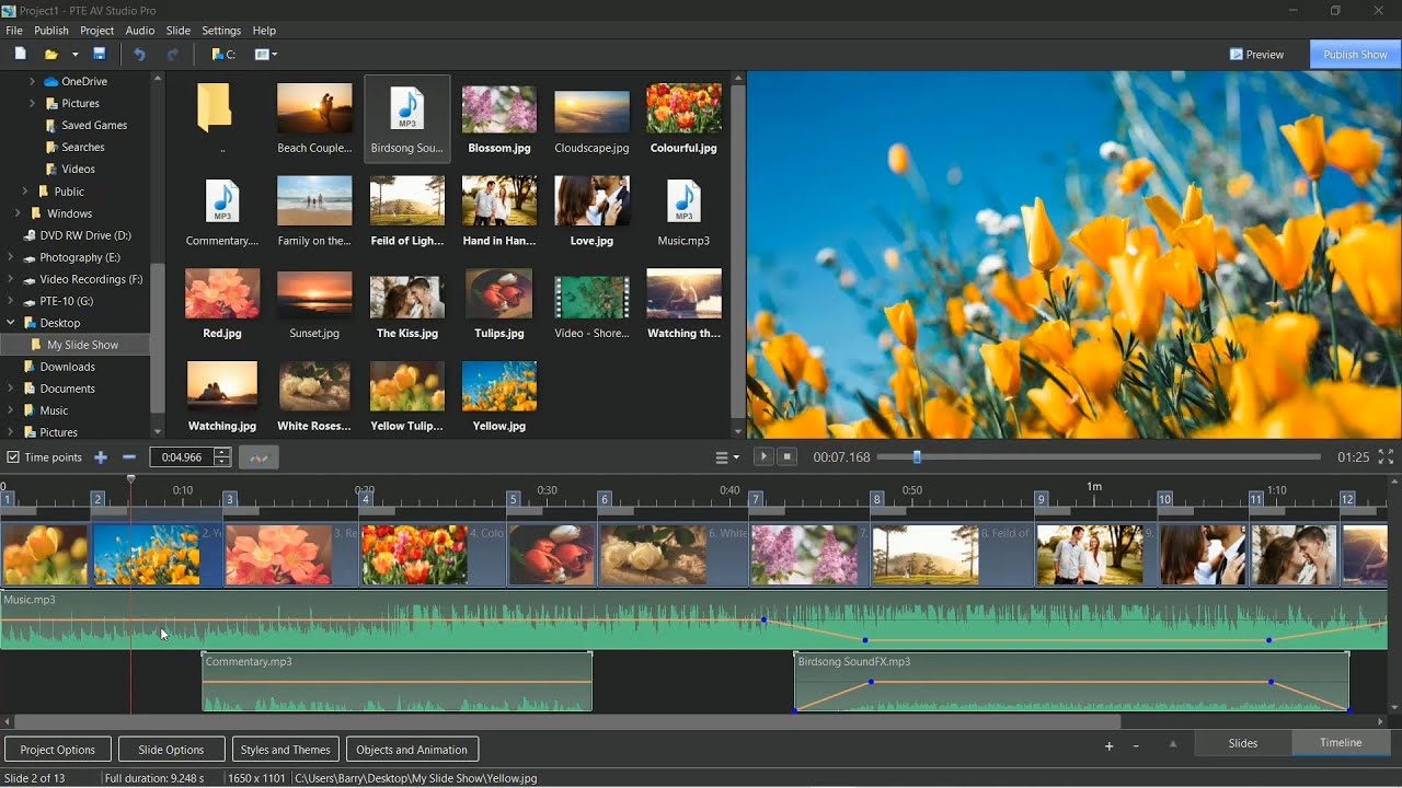 Best Photo Slideshow Software - PTE AV Studio